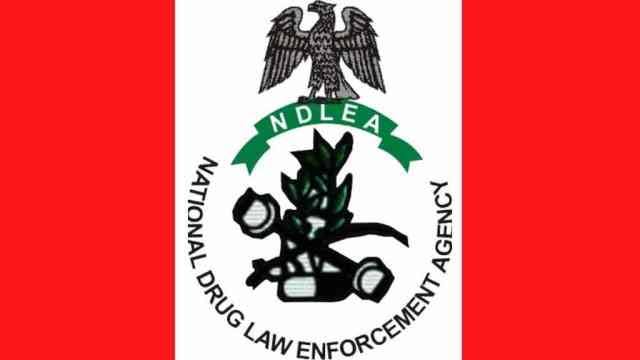 Uwa ta nemi adalci kan zargin jami'in NDLEA da yi wa 'yarta mai shekara takwas fyaɗe